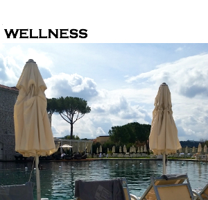 Wellness