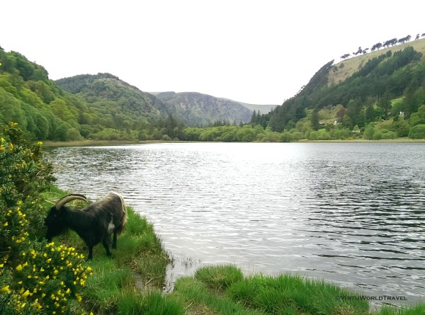 Ireland - Glendalough